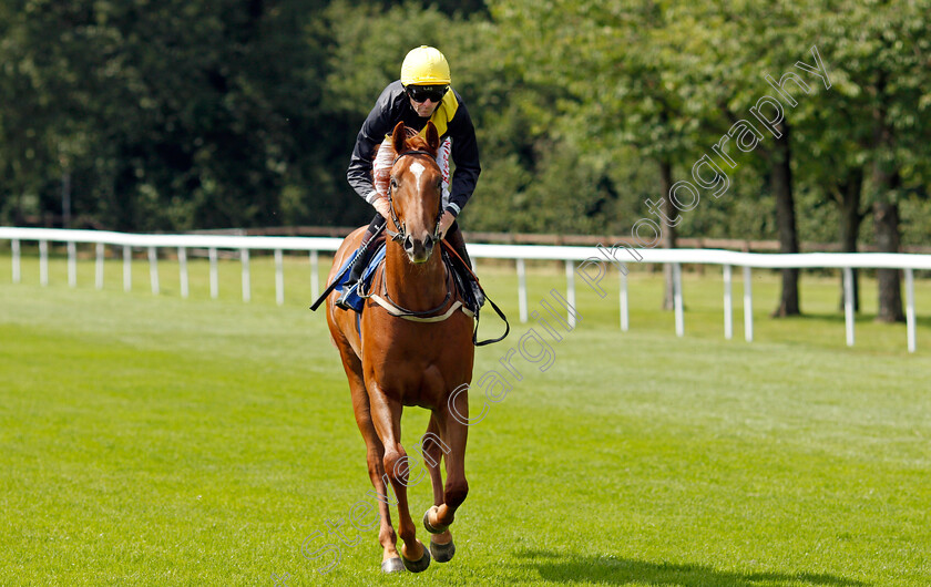 Thank-The-Lord-0001 
 THANK THE LORD (Robert Havlin)
Salisbury 11 Aug 2021 - Pic Steven Cargill / Racingfotos.com