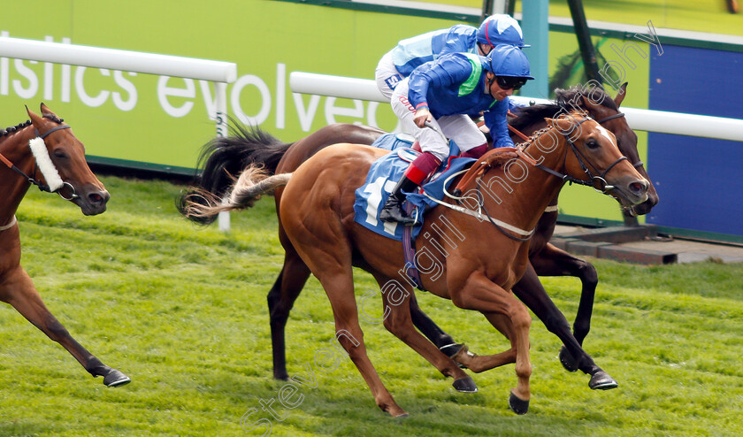 Poet s-Society-0005 
 POET'S SOCIETY (Frankie Dettori) wins The Clipper Logistics Handicap making Mark Johnston the winningmost trainer in UK 
York 23 Aug 2018 - Pic Steven Cargill / Racingfotos.com