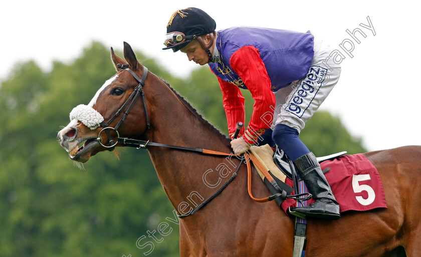 King s-Lynn-0002 
 KING'S LYNN (David Probert) winner of The Cazoo Temple Stakes
Haydock 21 May 2022 - Pic Steven Cargill / Racingfotos.com