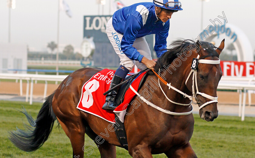 Janoobi-0001 
 JANOOBI (Jim Crowley) Meydan 10 Mar 2018 - Pic Steven Cargill / Racingfotos.com