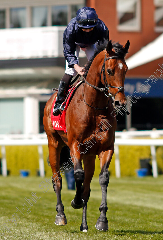 Ontario-0001 
 ONTARIO (Ryan Moore)
Chester 6 May 2021 - Pic Steven Cargill / Racingfotos.com