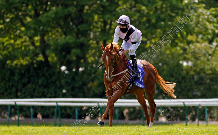 Apollo-One-0001 
 APOLLO ONE (Luke Morris)
Haydock 22 May 2021 - Pic Steven Cargill / Racingfotos.com