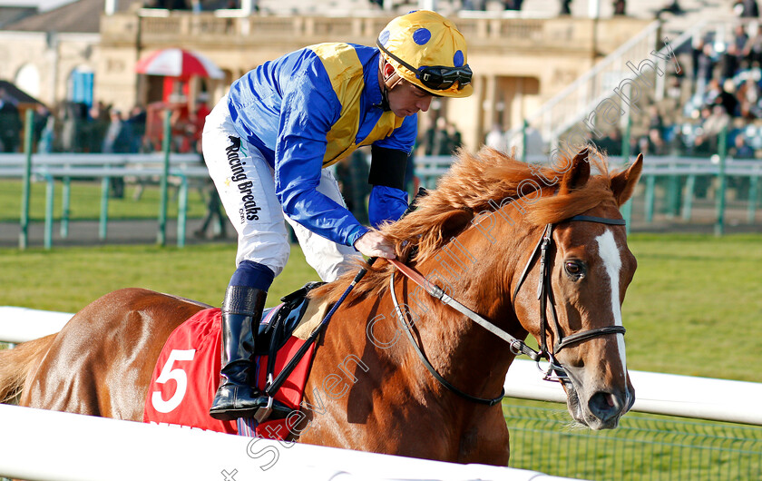 Dream-Of-Dreams-0001 
 DREAM OF DREAMS (Jim Crowley) winner of The Betfred Mobile Wentworth Stakes Doncaster 11 Nov 2017 - Pic Steven Cargill / Racingfotos.com