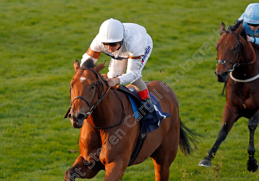 Equitation-0006 
 EQUITATION (Andrea Atzeni) wins The Parkdean Resorts Creating Amazing Memories Handicap Yarmouth 20 Sep 2017 - Pic Steven Cargill / Racingfotos.com