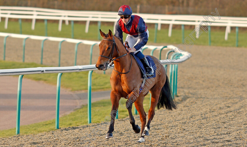 Ahorsecalledwanda-0001 
 AHORSECALLEDWANDA (Joey Haynes) before The Ladbrokes Where The Nation Plays Fillies Novice Stakes
Lingfield 8 Feb 2020 - Pic Steven Cargill / Racingfotos.com