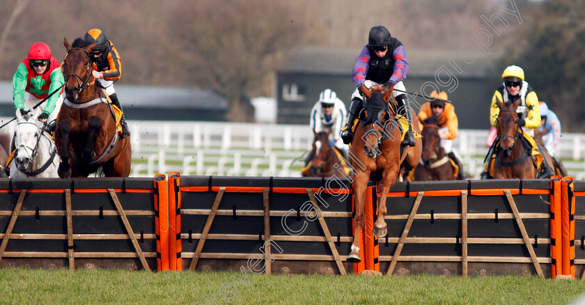 Shannon-Bridge-0002 
 SHANNON BRIDGE (Harry Skelton) wins The Betfair Cheltenham Free Bet Pot Builder Handicap Hurdle
Ascot 20 Feb 2021 - Pic Steven Cargill / Racingfotos.com