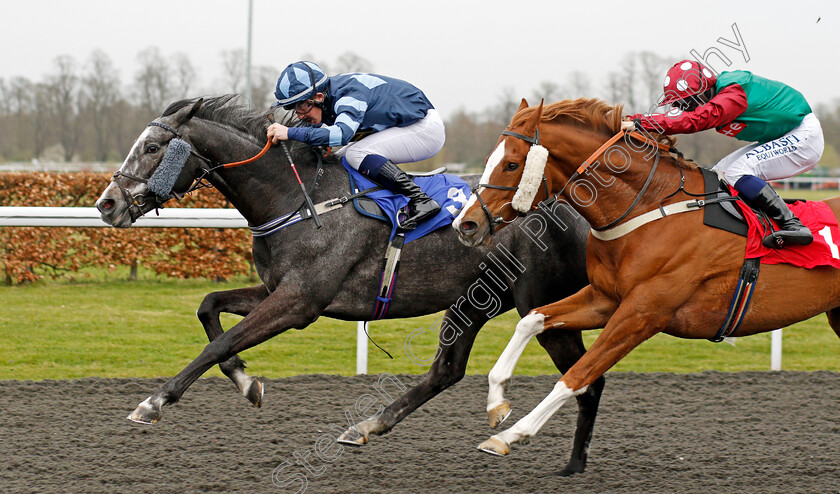 Cinzento-0002 
 CINZENTO (Owen Lewis) beats ARLECCHINO'S ARC (right) in The Bet At Racing TV Classified Stakes 
Kempton 31 Mar 2021 - Pic Steven Cargill / Racingfotos.com