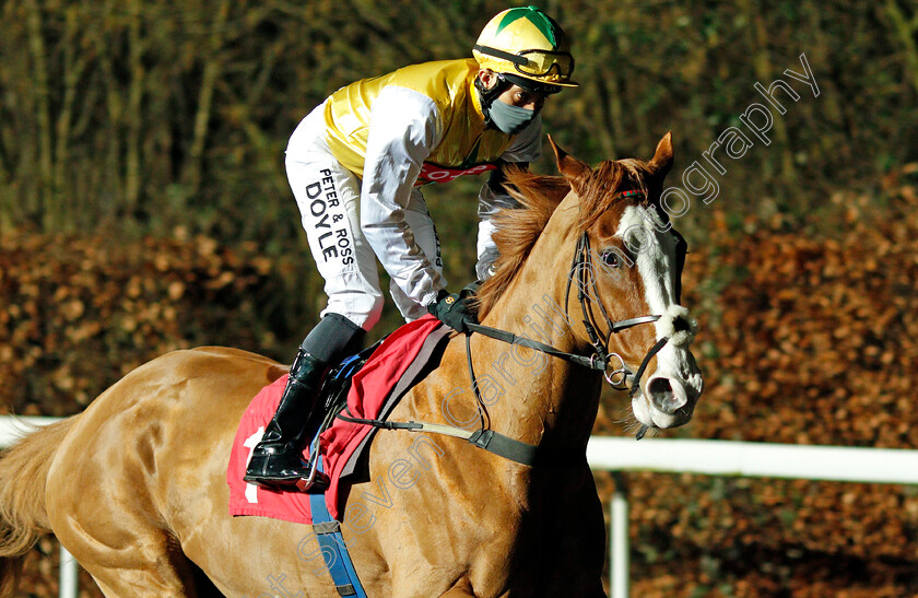 Herculean-0002 
 HERCULEAN (Sean Levey)
Kempton 3 Feb 2021 - Pic Steven Cargill / Racingfotos.com