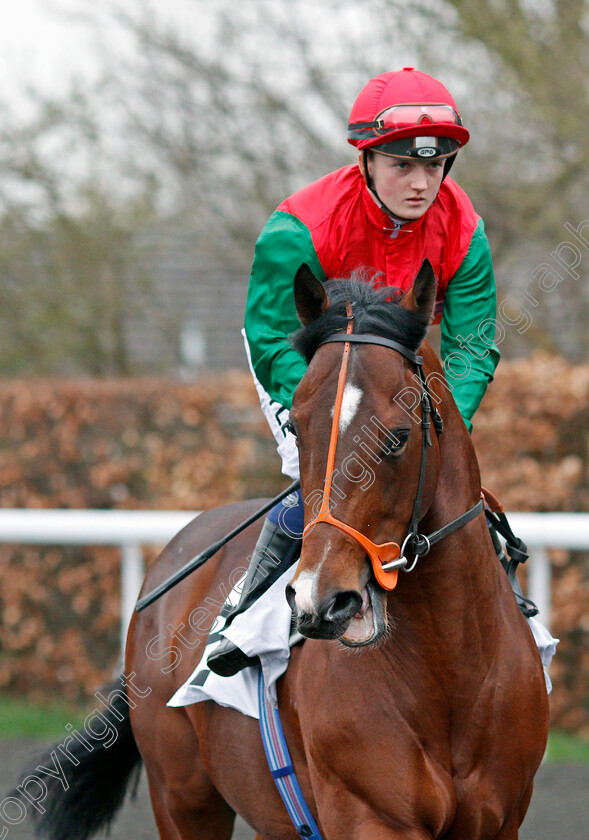 Boing-0001 
 BOING (Hollie Doyle) Kempton 11 Apr 2018 - Pic Steven Cargill / Racingfotos.com