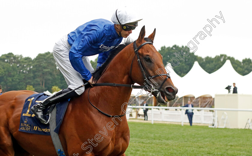 Naval-Crown-0001 
 NAVAL CROWN (James Doyle) winner of The Platinum Jubilee Stakes
Royal Ascot 18 Jun 2022 - Pic Steven Cargill / Racingfotos.com