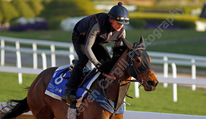 Jumby-0001 
 JUMBY training for The 1351 Turf Sprint
King Abdulaziz Racecourse, Saudi Arabia 21 Feb 2024 - Pic Steven Cargill / Racingfotos.com