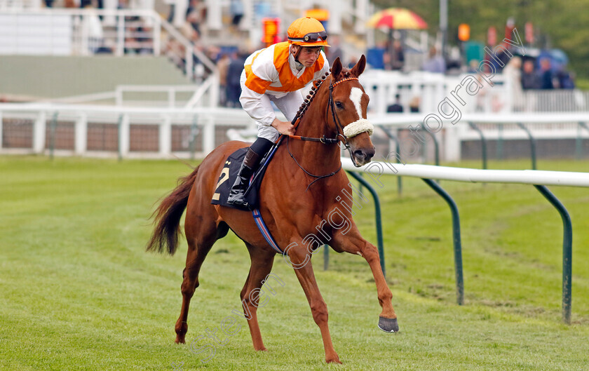 Longuerue-0007 
 LONGUERUE (George Eddery) winner of The Every Race Live On Racing TV Apprentice Handicap
Nottingham 30 May 2023 - Pic Steven Cargill / Racingfotos.com