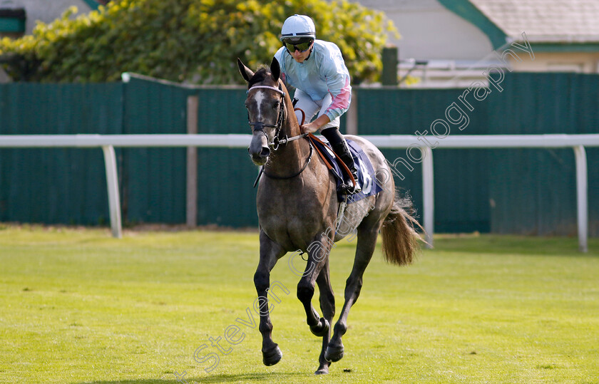 Mamma-Maria-0001 
 MAMMA MARIA (Tom Marquand)
Yarmouth 18 Sep 2024 - Pic Steven Cargill / Racingfotos.com