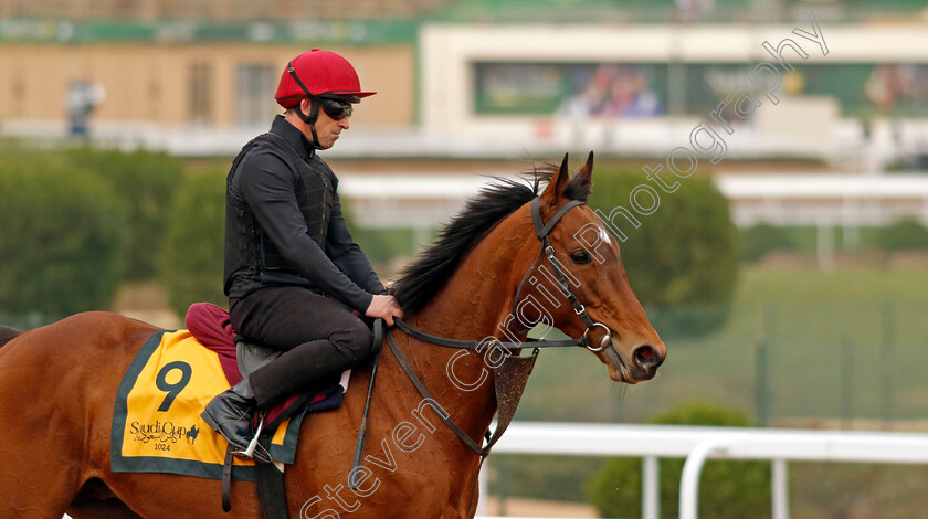 Luxembourg-0001 
 LUXEMBOURG training for The Neom Turf Cup
King Abdulaziz Racetrack, Saudi Arabia 22 Feb 2024 - Pic Steven Cargill / Racingfotos.com