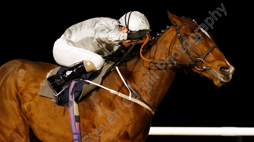 Lion-Tower-0003 
 LION TOWER (Joe Fanning) wins The Betway Novice Stakes
Southwell 15 Jan 2020 - Pic Steven Cargill / Racingfotos.com