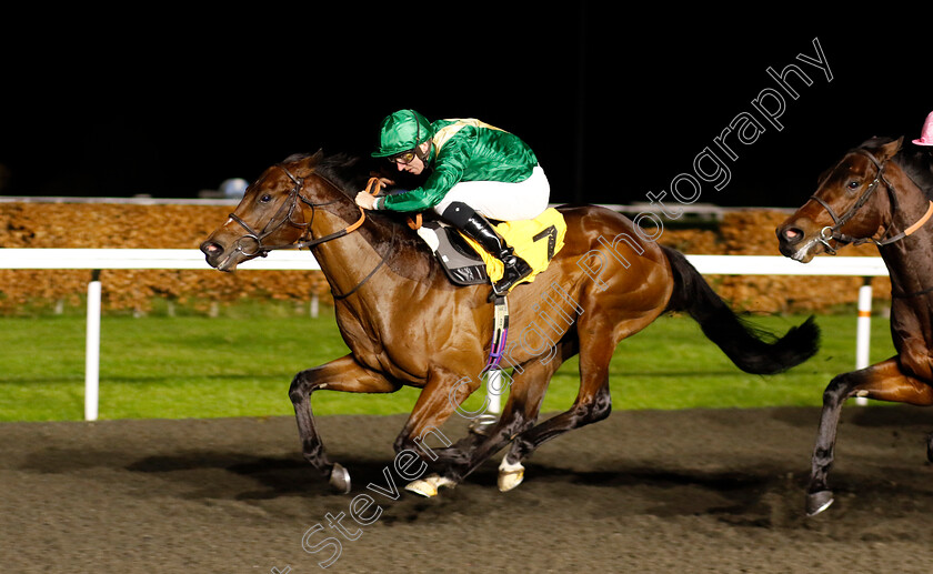 The-Quiet-Gent-0002 
 THE QUIET GENT (Hector Crouch) wins The Unibet Novice Stakes 
Kempton 4 Dec 2024 - pic Steven Cargill / Racingfotos.com