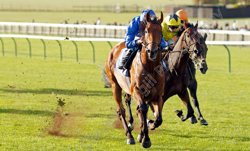 Broadway-Act-0002 
 BROADWAY ACT (William Buick) wins The Al Basti Equiworld Dubai British EBF Confined Maiden Stakes Div2
Newmarket 29 Sep 2023 - Pic Steven Cargill / Racingfotos.com