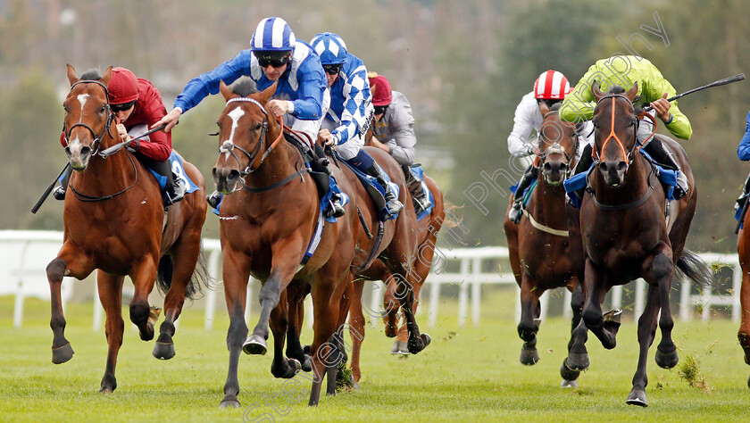 Amaan-0003 
 AMAAN (Dane O'Neill) beats BLACK COMEDY (right) and BOTTOM BAY (left) in The Dennis Hammill Memorial EBF Novice Stakes
Leicester 10 Sep 2019 - Pic Steven Cargill / Racingfotos.com