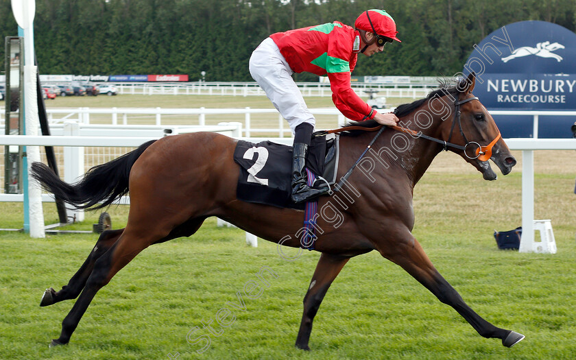 D-Day-0005 
 D DAY (James Doyle) wins The Mildmay Farm And Stud Novice Median Auction Stakes Div2
Newbury 6 Aug 2019 - Pic Steven Cargill / Racingfotos.com