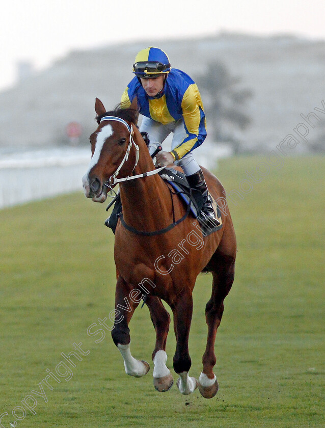 Aquarium-0001 
 AQUARIUM (Richard Kingscote)
Bahrain 22 Nov 2019 - Pic Steven Cargill / Racingfotos.com