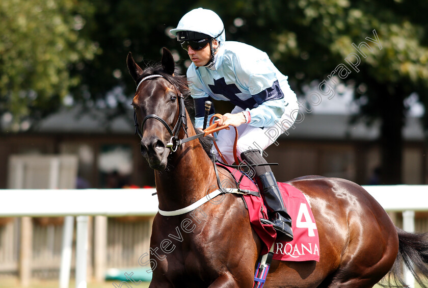 Dunkerron-0001 
 DUNKERRON (Martin Harley)
Newmarket 12 Jul 2018 - Pic Steven Cargill / Racingfotos.com