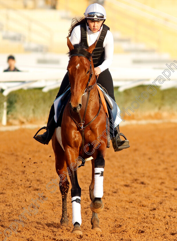 Stronger-Together-0001 
 STRONGER TOGETHER training for The International Handicap
King Abdulaziz Racecourse, Kingdom of Saudi Arabia, 22 Feb 2023 - Pic Steven Cargill / Racingfotos.com