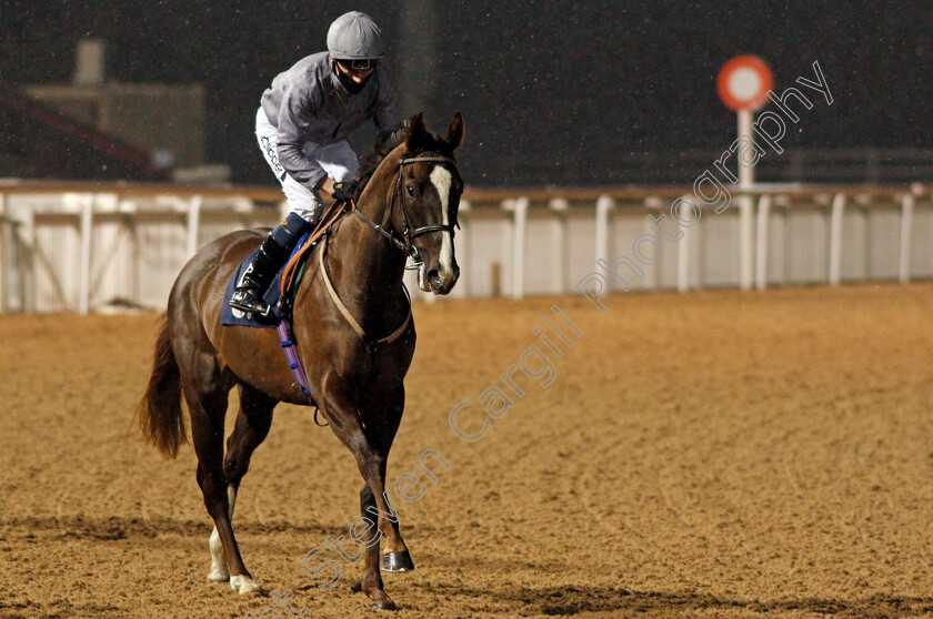 Runway-Queen-0001 
 RUNWAY QUEEN (Kieran Shoemark)
Wolverhampton 4 Jan 2021 - Pic Steven Cargill / Racingfotos.com