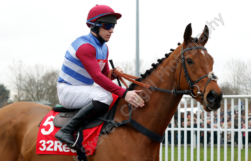 The-Worlds-End-0001 
 THE WORLDS END (Gavin Sheehan)
Kempton 26 Dec 2018 - Pic Steven Cargill / Racingfotos.com