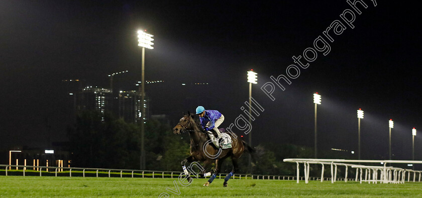 Stars-On-Earth-0001 
 STARS ON EARTH training for The Sheema Classic
Meydan Dubai 27 Mar 2024 - Pic Steven Cargill / Racingfotos.com