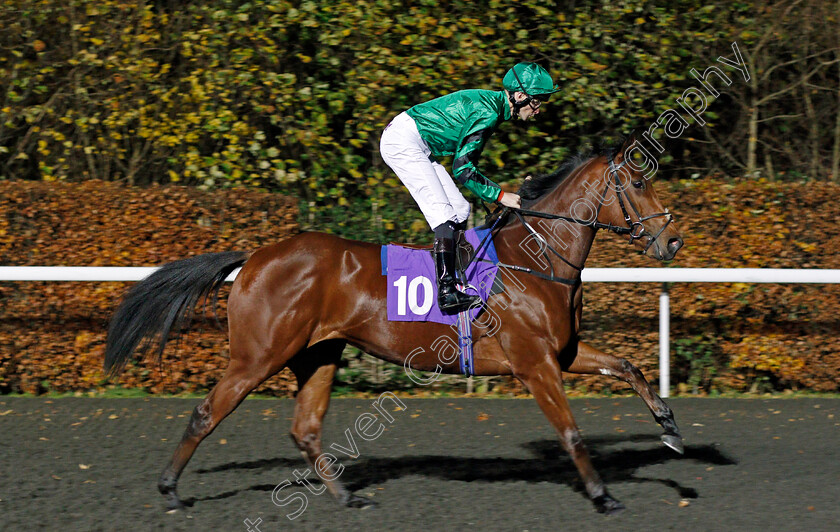 Jal-Mahal-0002 
 JAL MAHAL (Robert Havlin) Kempton 22 Nov 2017 - Pic Steven Cargill / Racingfotos.com