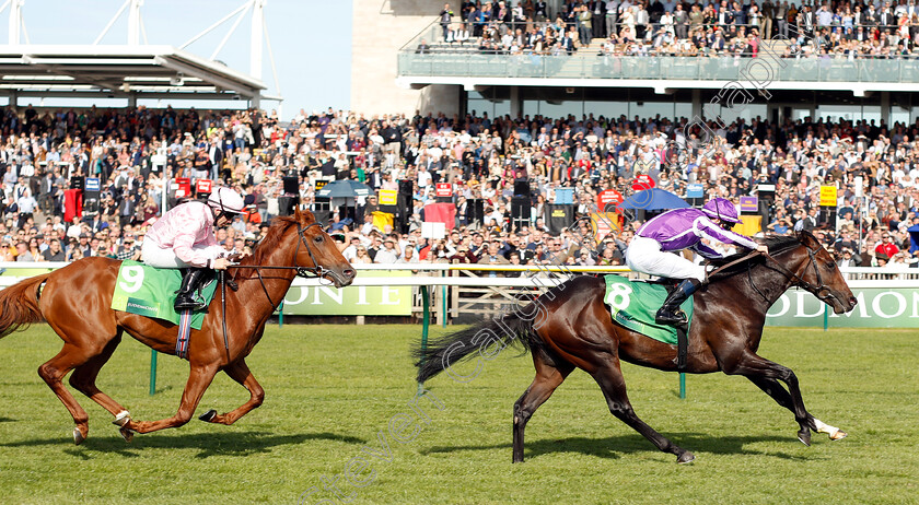 Mohawk-0007 
 MOHAWK (Donnacha O'Brien) beats SYDNEY OPERA HOUSE (left) in The Juddmonte Royal Lodge Stakes
Newmarket 29 Sep 2018 - Pic Steven Cargill / Racingfotos.com