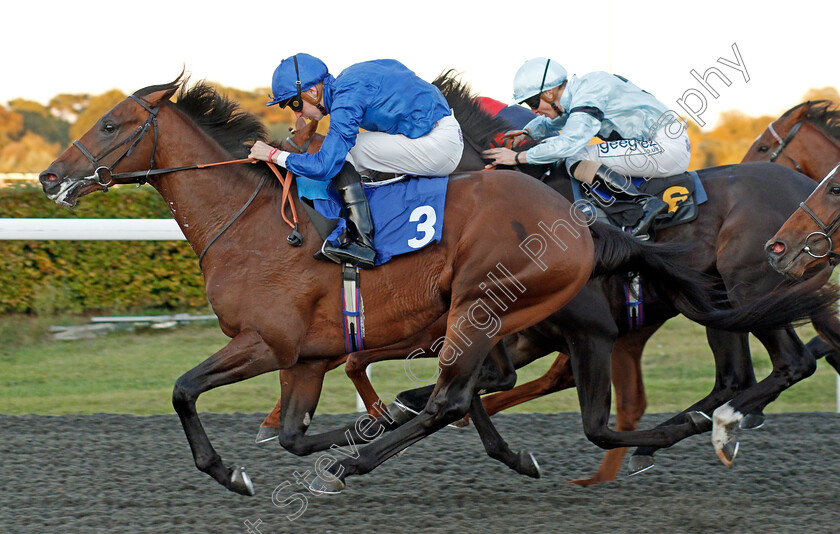 First-View-0009 
 FIRST VIEW (Hector Crouch) wins The 32Red Casino EBF Novice Stakes
Kempton 2 Oct 2019 - Pic Steven Cargill / Racingfotos.com