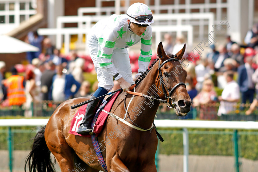 Yorkindness-0001 
 YORKINDNESS (Callum Shepherd)
Haydock 25 May 2024 - Pic Steven cargill / Racingfotos.com