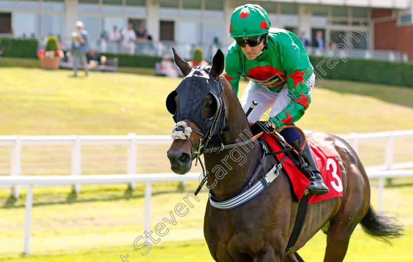 Ocean-Wind-0001 
 OCEAN WIND (Jim Crowley)
Sandown 7 Jul 2023 - Pic Steven Cargill / Racingfotos.com