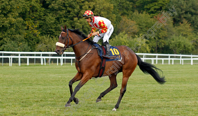 Master-Bloom-0001 
 MASTER BLOOM (Elione Chaves)
Bro Park 18 Sep 2022 - Pic Steven Cargill / Racingfotos.com