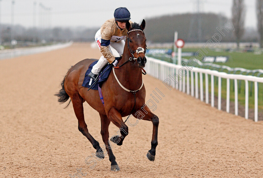 Tempus 
 TEMPUS (Hollie Doyle)
Southwell 13 Feb 2022 - Pic Steven Cargill / Racingfotos.com