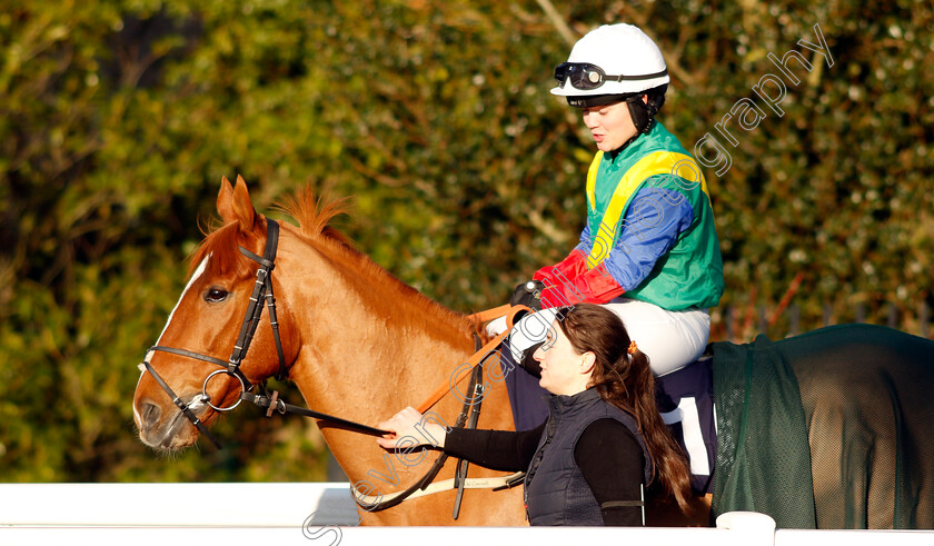 Poetic-Force-0001 
 POETIC FORCE (Mollie Phillips)
Lingfield 21 Jan 2023 - Pic Steven Cargill / Racingfotos.com