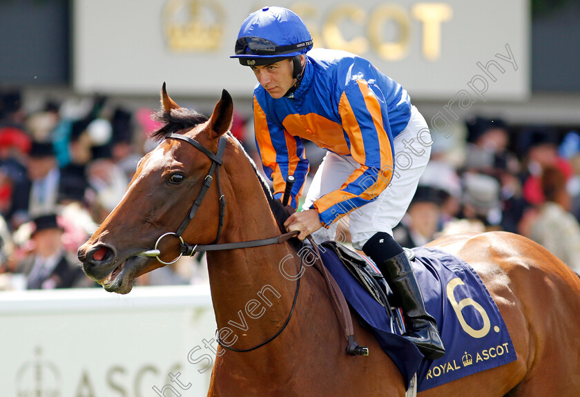 Heavens-Gate-0001 
 HEAVENS GATE (Wayne Lordan)
Royal Ascot 21 Jun 2024 - Pic Steven Cargill / Racingfotos.com