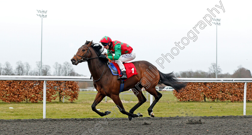 Diligent-Harry-0003 
 DILIGENT HARRY (Adam Kirby) wins The Unibet New Instant Roulette Novice Stakes
Kempton 16 Feb 2021 - Pic Steven Cargill / Racingfotos.com