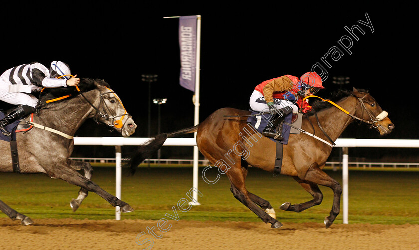 Athmad-0004 
 ATHMAD (Paul Mulrennan) beats PRECISION STORM (left) in The Betway Handicap
Wolverhampton 4 Jan 2021 - Pic Steven Cargill / Racingfotos.com