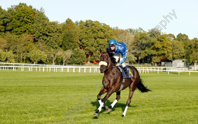 Go-On-Carlras-0001 
 GO ON CARLRAS (Nicolaj Stott)
Bro Park 17 Sep 2023 - Pic Steven Cargill / Racingfotos.com