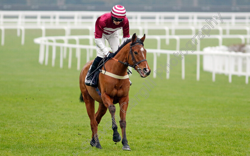 Moutarde-0002 
 MOUTARDE (Harry Cobden)
Ascot 18 Jan 2025 - Pic Steven Cargill / Racingfotos.com