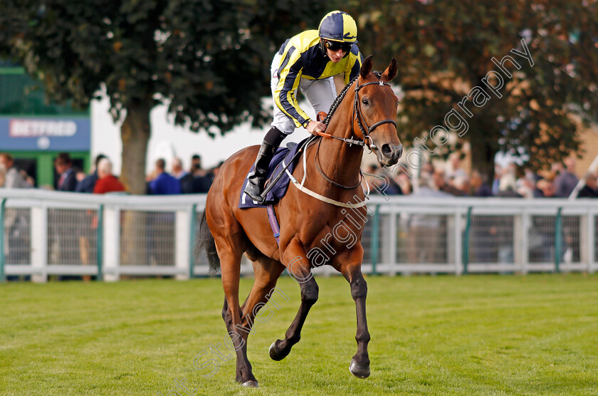 Titi-Makfi-0001 
 TITI MAKFI (P J McDonald) Yarmouth 20 Sep 2017 - Pic Steven Cargill / Racingfotos.com