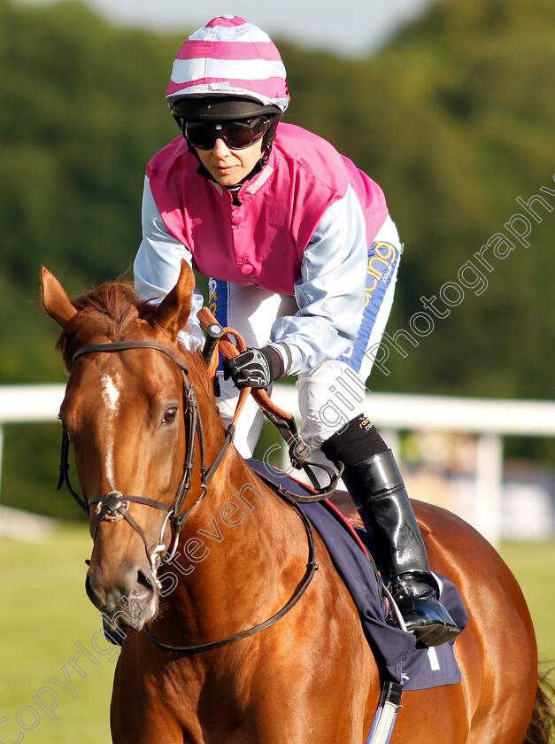 Stone-Circle-0001 
 STONE CIRCLE (Hayley Turner)
Chepstow 2 Jul 2019 - Pic Steven Cargill / Racingfotos.com