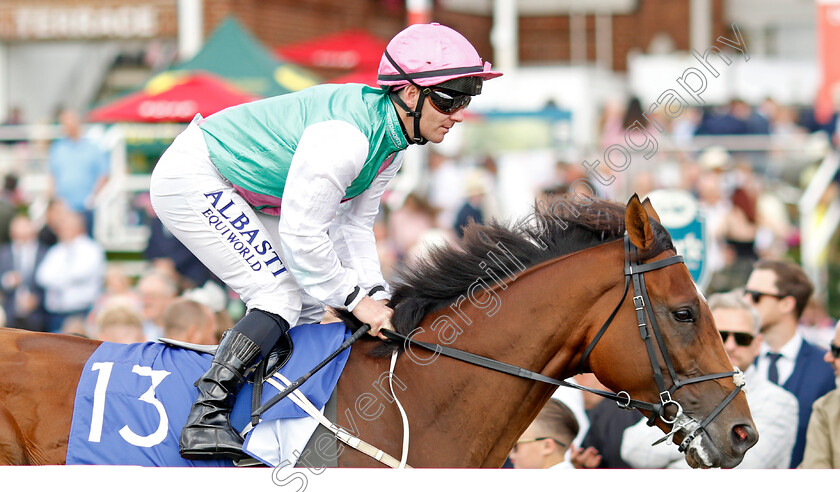 Licence 
 LICENCE (G F Carroll)
York 20 Aug 2022 - Pic Steven Cargill / Racingfotos.com