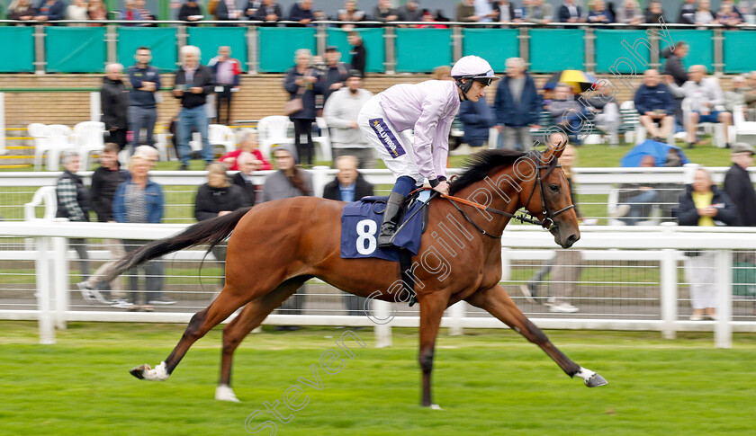 Prince-Eric-0001 
 PRINCE ERIC (Daniel Muscutt)
Yarmouth 19 Sep 2023 - Pic Steven Cargill / Racingfotos.com