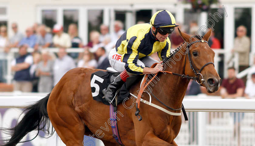 I ll-Have-Another-0004 
 I'LL HAVE ANOTHER (Franny Norton) wins The Bet toteplacepot At totesport.com Maiden Fillies Stakes
Chelmsford 13 Jun 2018 - Pic Steven Cargill / Racingfotos.com