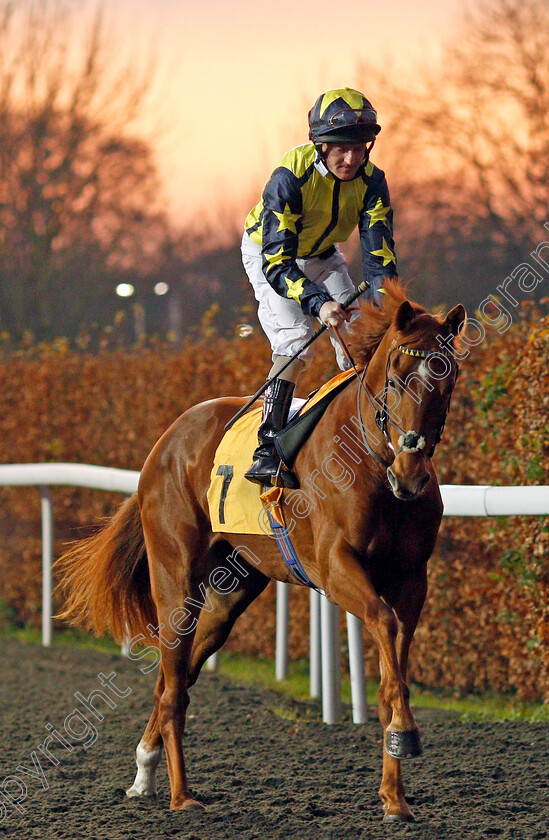 Surrey-Flame-0002 
 SURREY FLAME (Liam Keniry)
Kempton 4 Dec 2019 - Pic Steven Cargill / Racingfotos.com