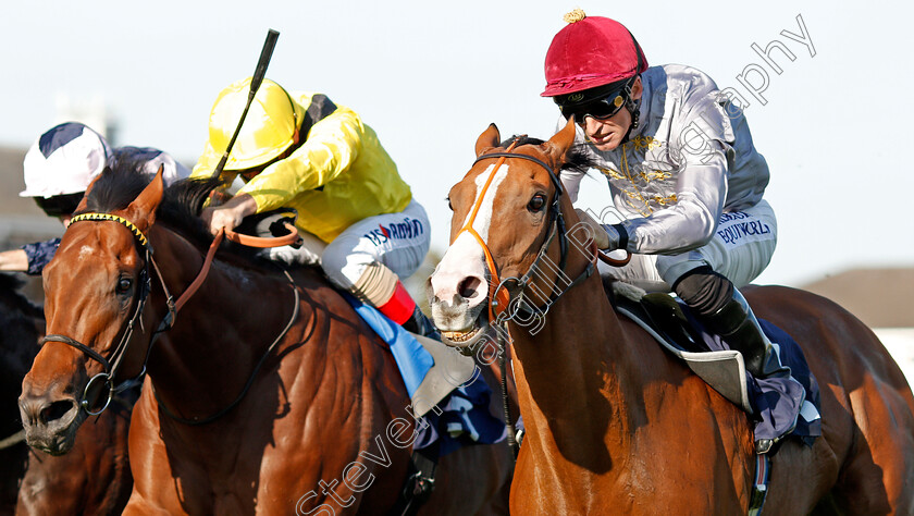 Qaysar-0005 
 QAYSAR (right, Pat Dobbs) beats BAYROOT (left) in The P J Towey Construction Ltd Handicap
Doncaster 14 Sep 2019 - Pic Steven Cargill / Racingfotos.com