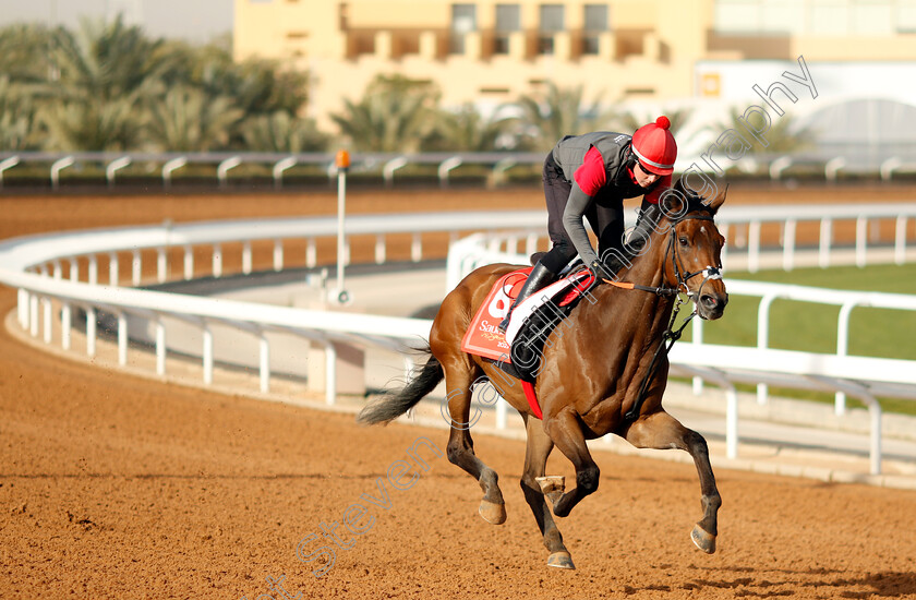 Get-Shirty-0001 
 GET SHIRTY training for The Red Sea Turf Handicap
King Abdulaziz Racecourse, Kingdom of Saudi Arabia, 22 Feb 2023 - Pic Steven Cargill / Racingfotos.com